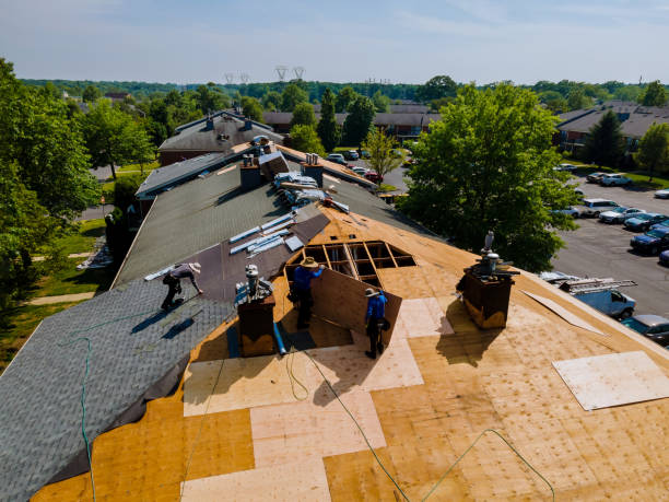 Best Best Roofing Contractors  in Caryville, TN