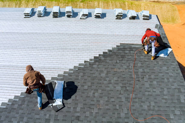 Best Local Roofing Companies  in Caryville, TN