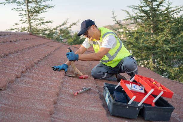 Best Metal Roofing Contractor  in Caryville, TN
