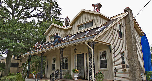 Best Roofing Contractor Near Me  in Caryville, TN